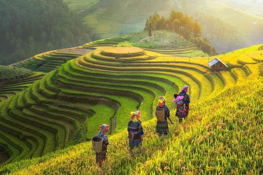 Pay and go to destination